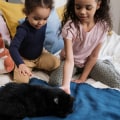 Best 18x20x1 HVAC Furnace Air Filters for Pet Owners